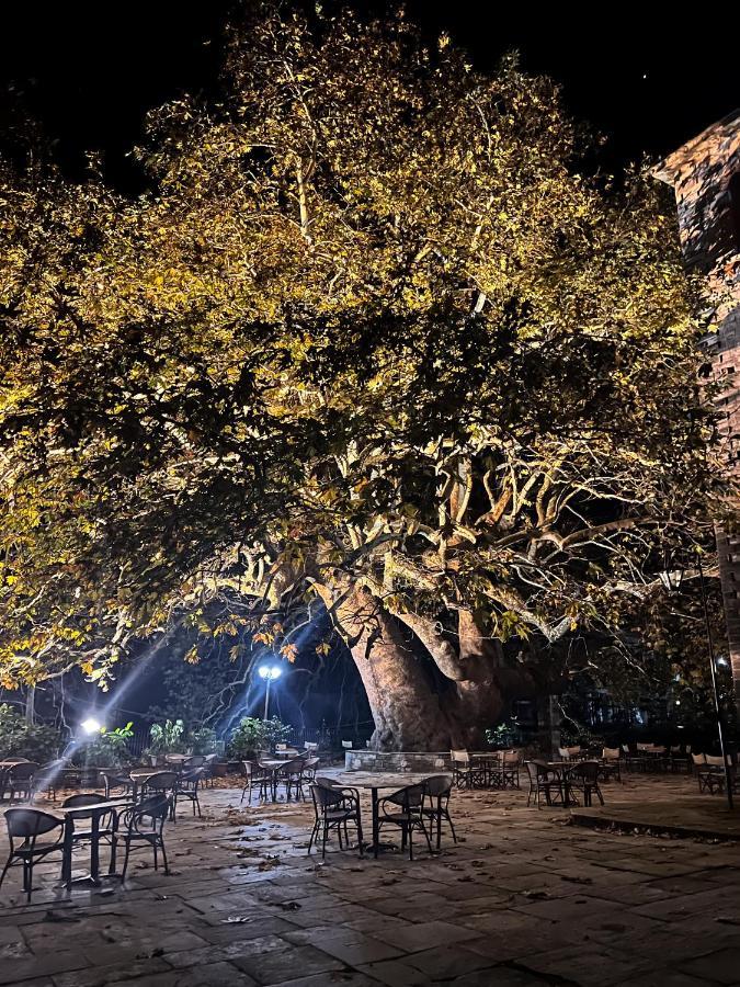 Dandy Villas Tsagkarada Dış mekan fotoğraf